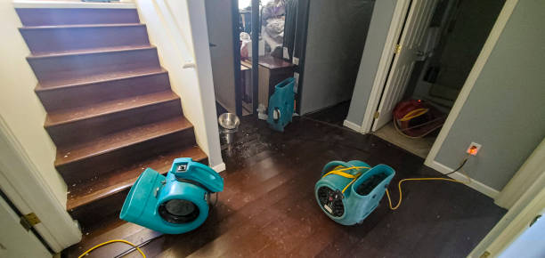 Best Flood damage cleanup  in Huntersville, NC
