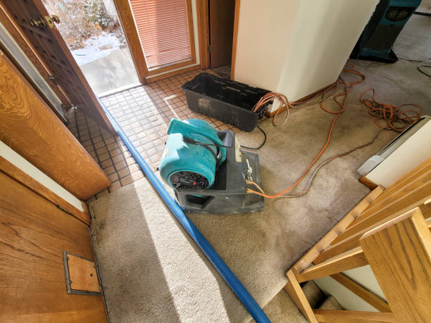 Best Flooded house restoration  in Huntersville, NC