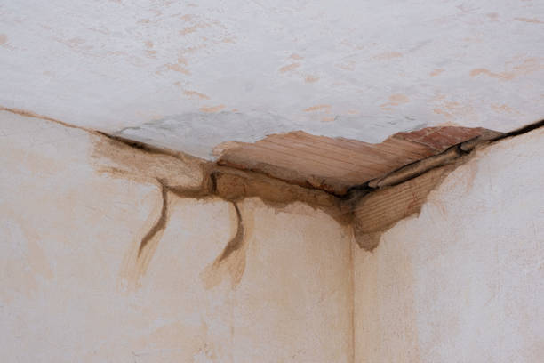  Huntersville, NC Water damage restoration Pros