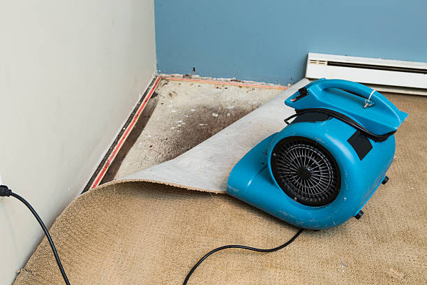 Reliable Huntersville, NC Water damage restoration Solutions